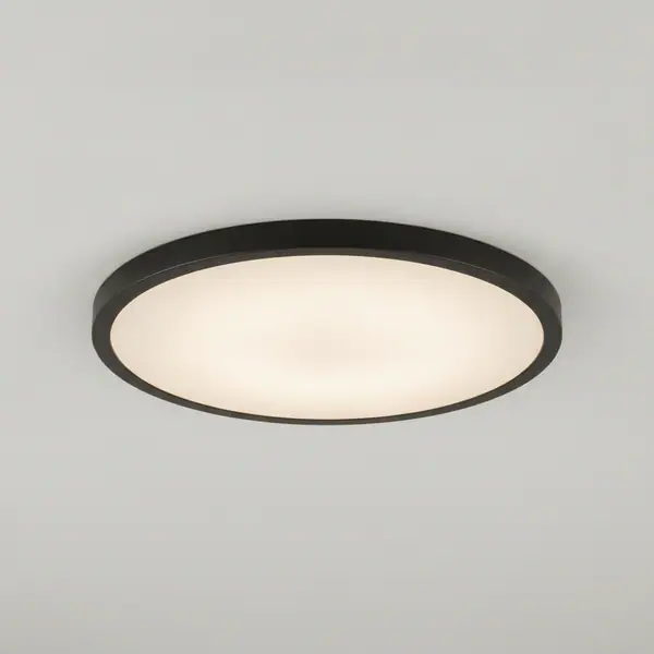 13.80 in. Black LED Flush Mount
