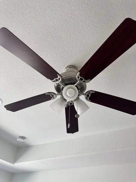 Ceiling fan and light 