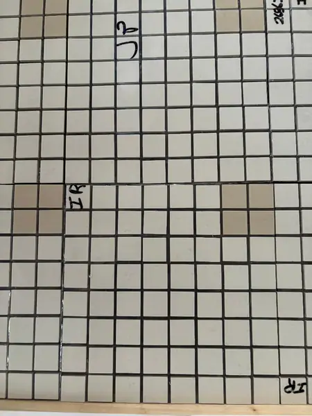Heritage Tile custom mosaic - 245 square feet - flooring
