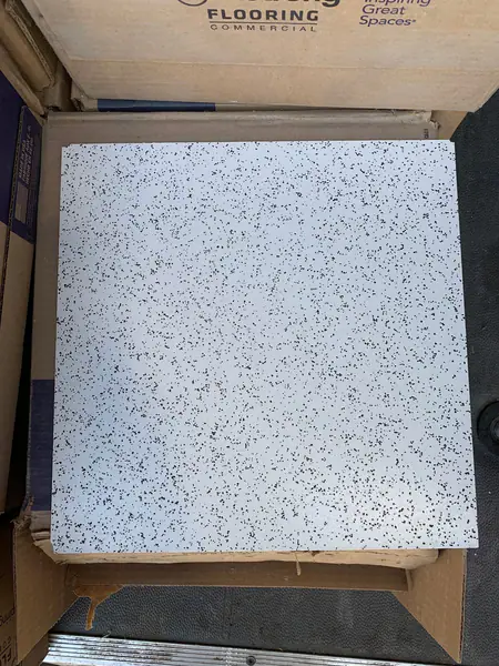 12”x12” Vinyl Flooring - Black Speckle On White