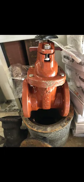 4” Gate Valve