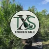 TXS