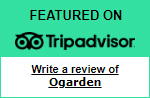 trip advisor