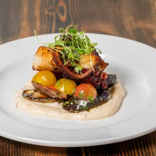 Galician Octopus