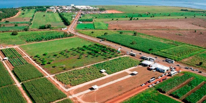 Evento de agricultura realizado em São Luís reúne centenas de produtores  rurais do Estado