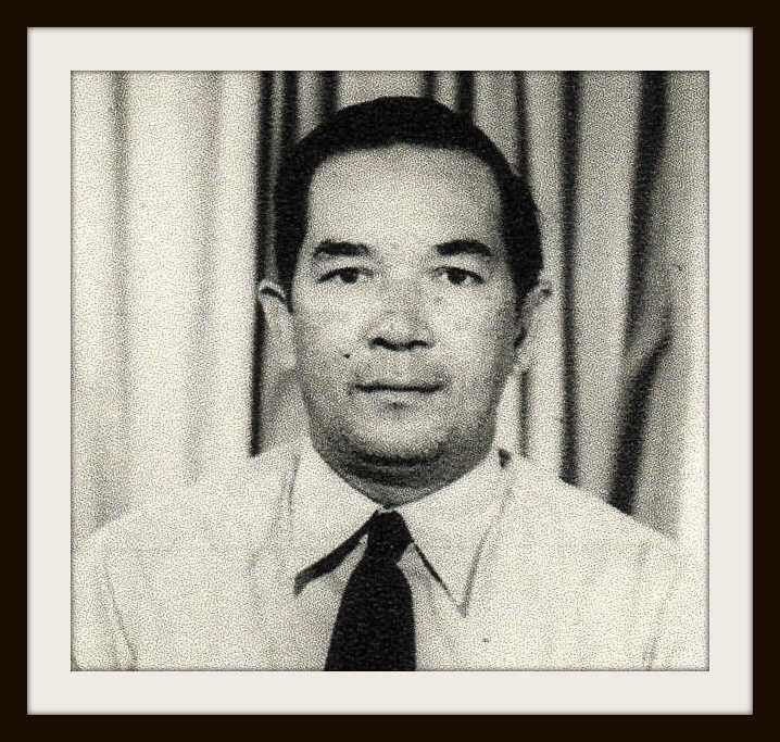 Theo Gerard Bergmans