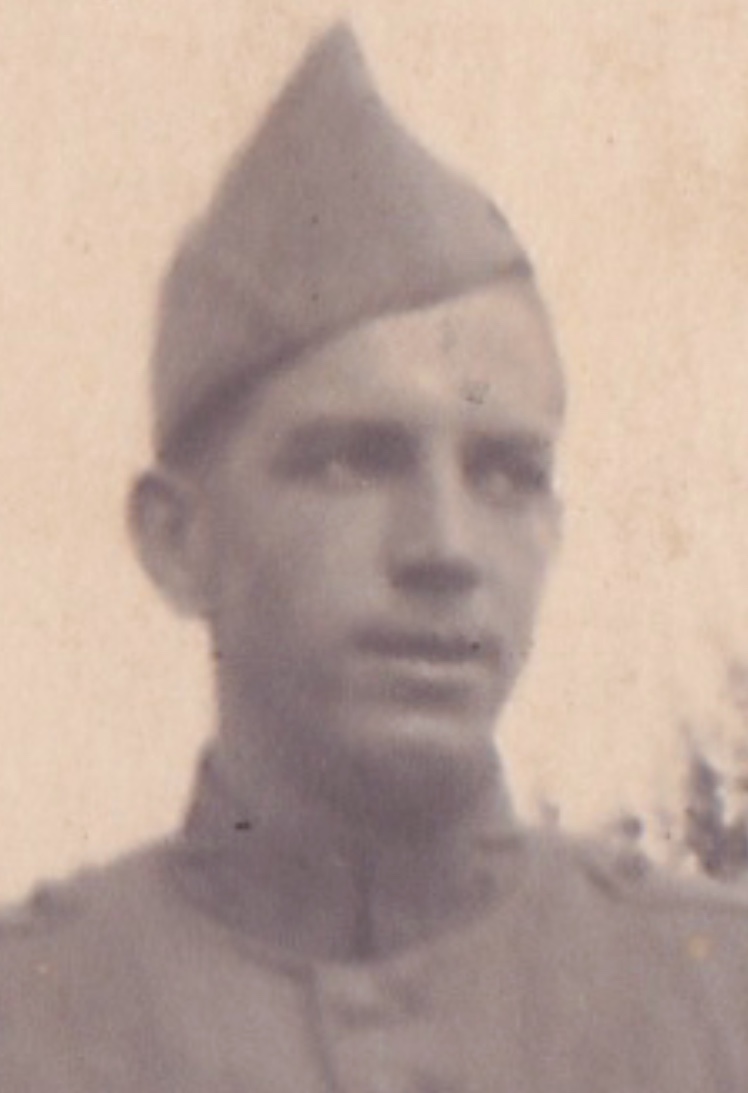 L. van Griensven