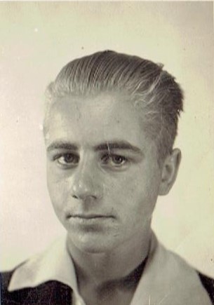 johannes de vries