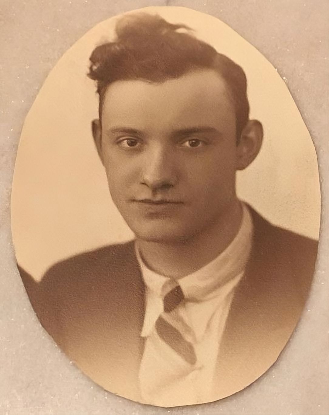 H. van der Zwan