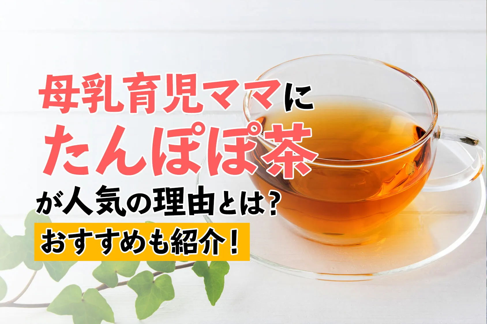 母乳育児ママにたんぽぽ茶が人気の理由は？効果が期待できるおすすめも紹介！