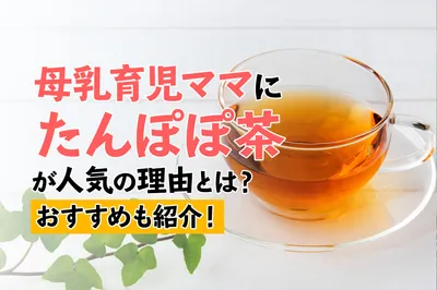 母乳育児ママにたんぽぽ茶が人気の理由は？効果が期待できるおすすめも紹介！