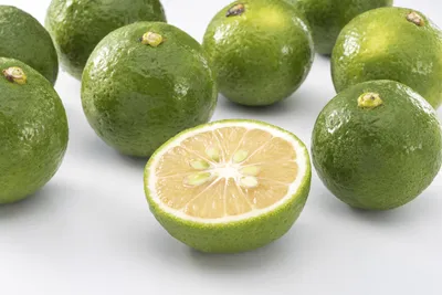 花粉症対策で話題の「じゃばら」ってなに？