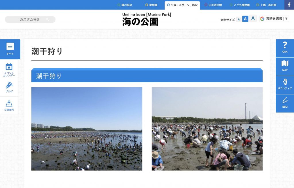 海の公園