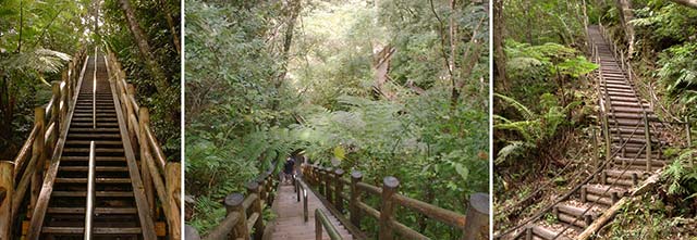 比地大滝(ひじいおおたき)トレッキングコーズ