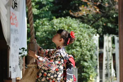 七五三のお参りにオススメの神社　～東京近郊編～