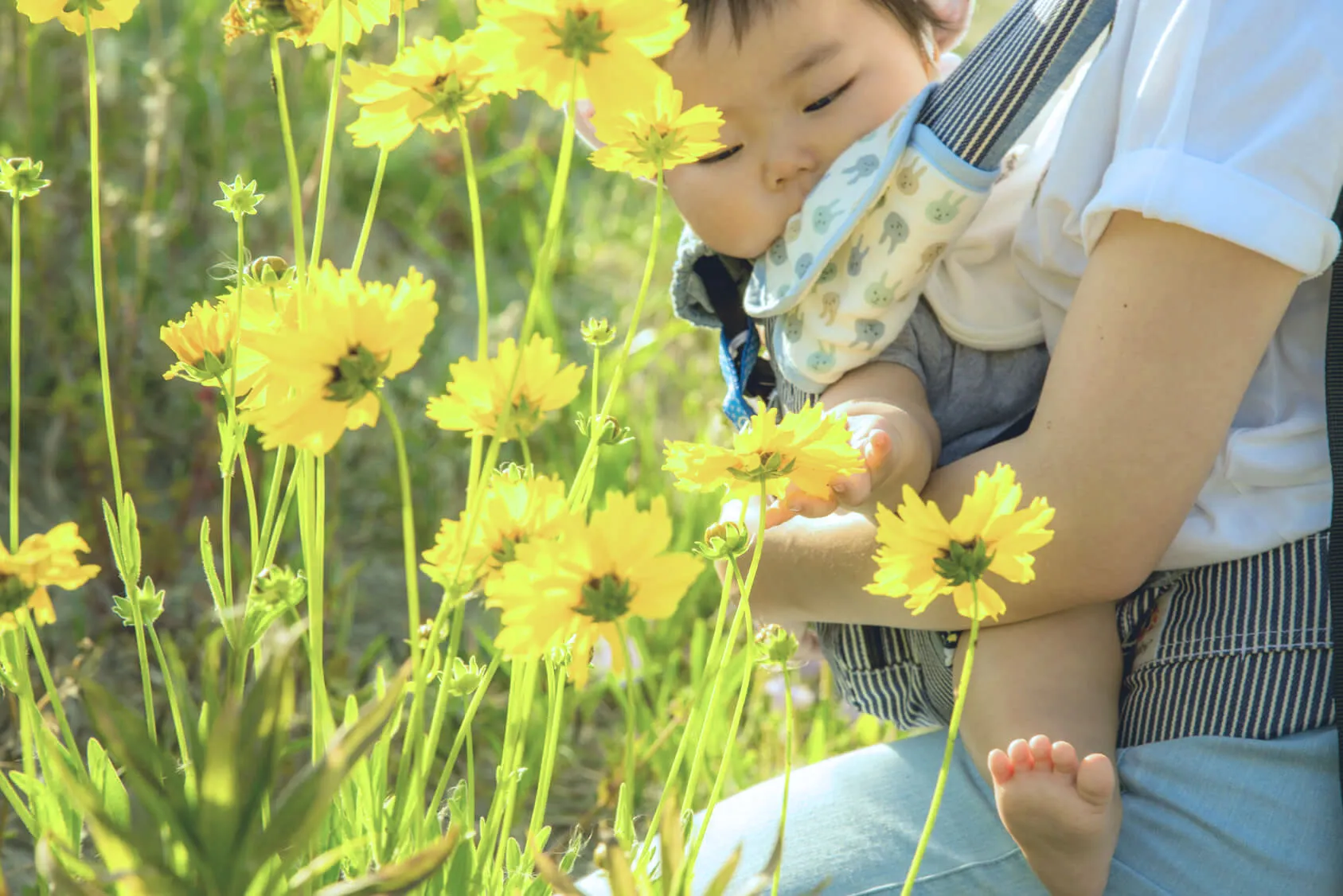 【2019】通気性重視で涼しい！夏用のオススメ抱っこひも 8選