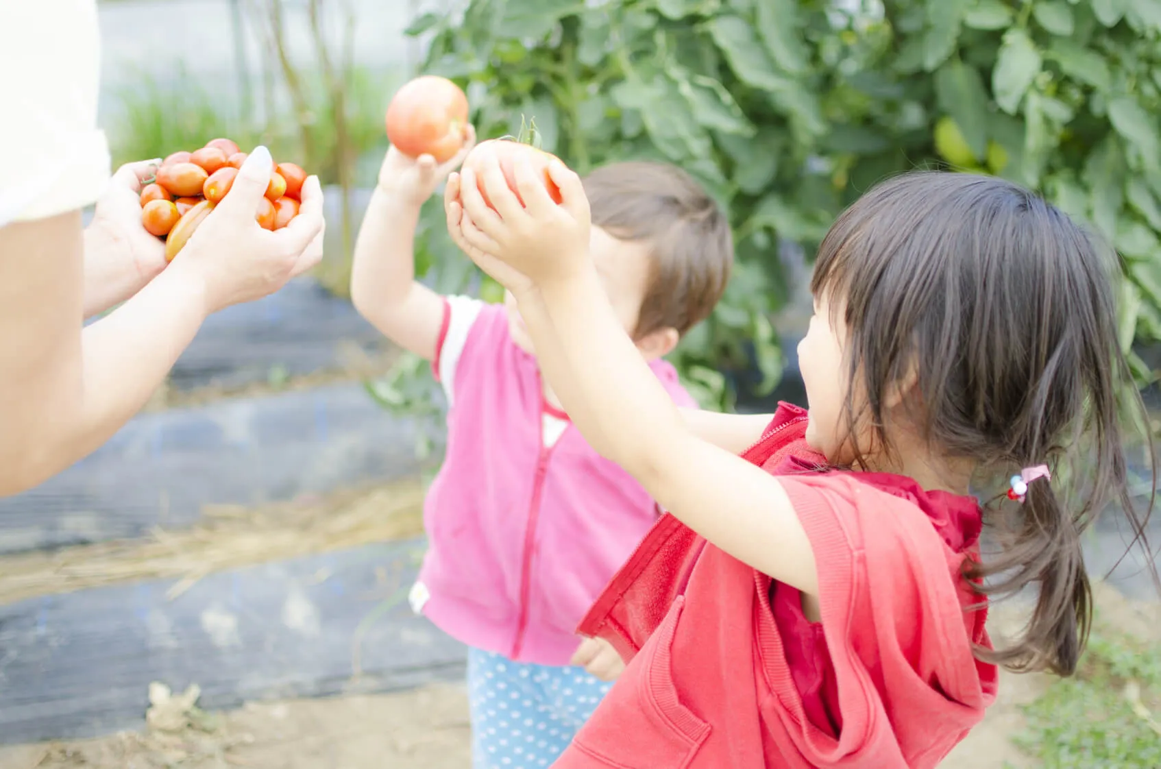 子供達