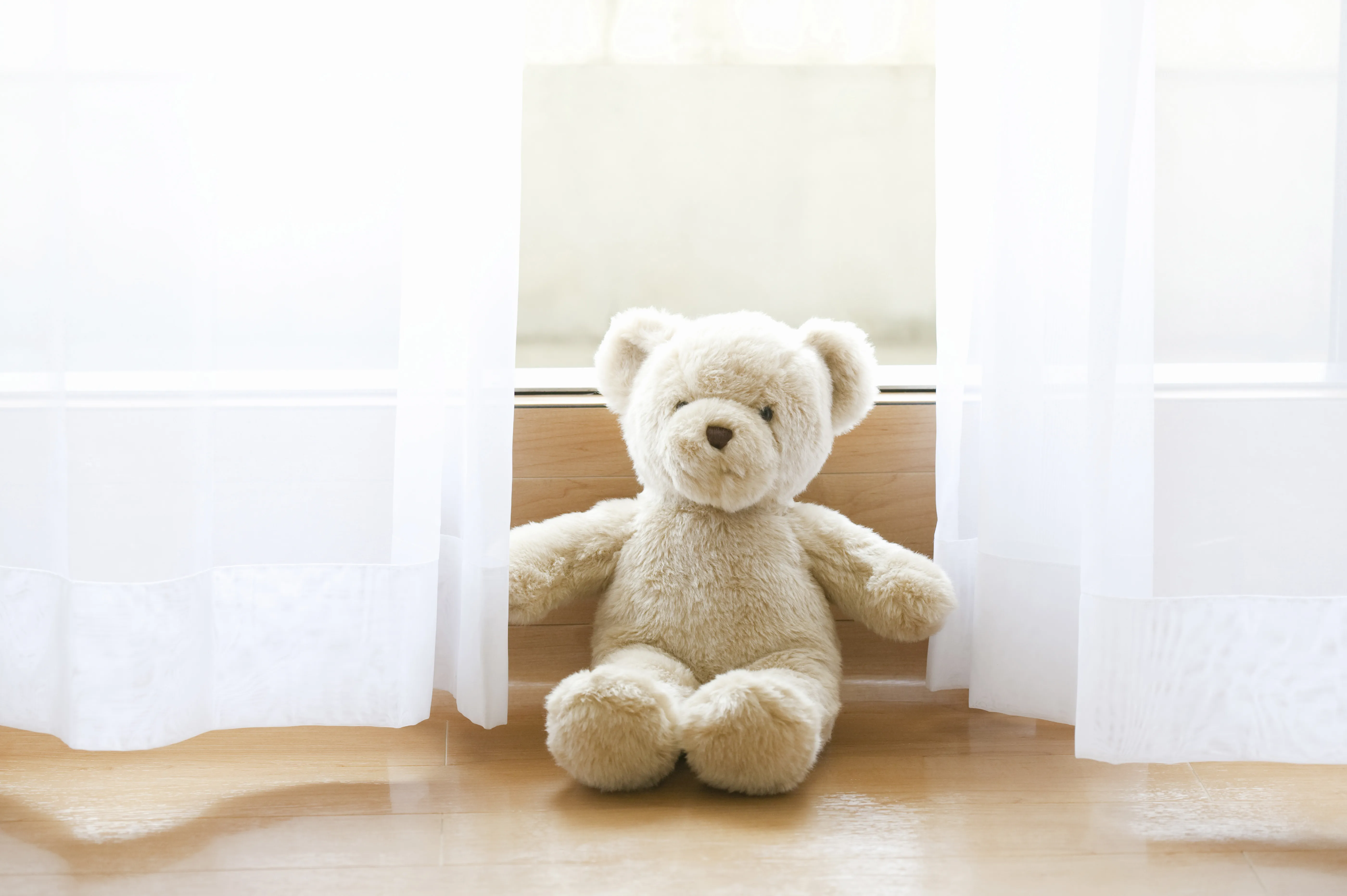 ニトリのNウォームあったかぬいぐるみが大人気！抱っこするだけであったか～い！