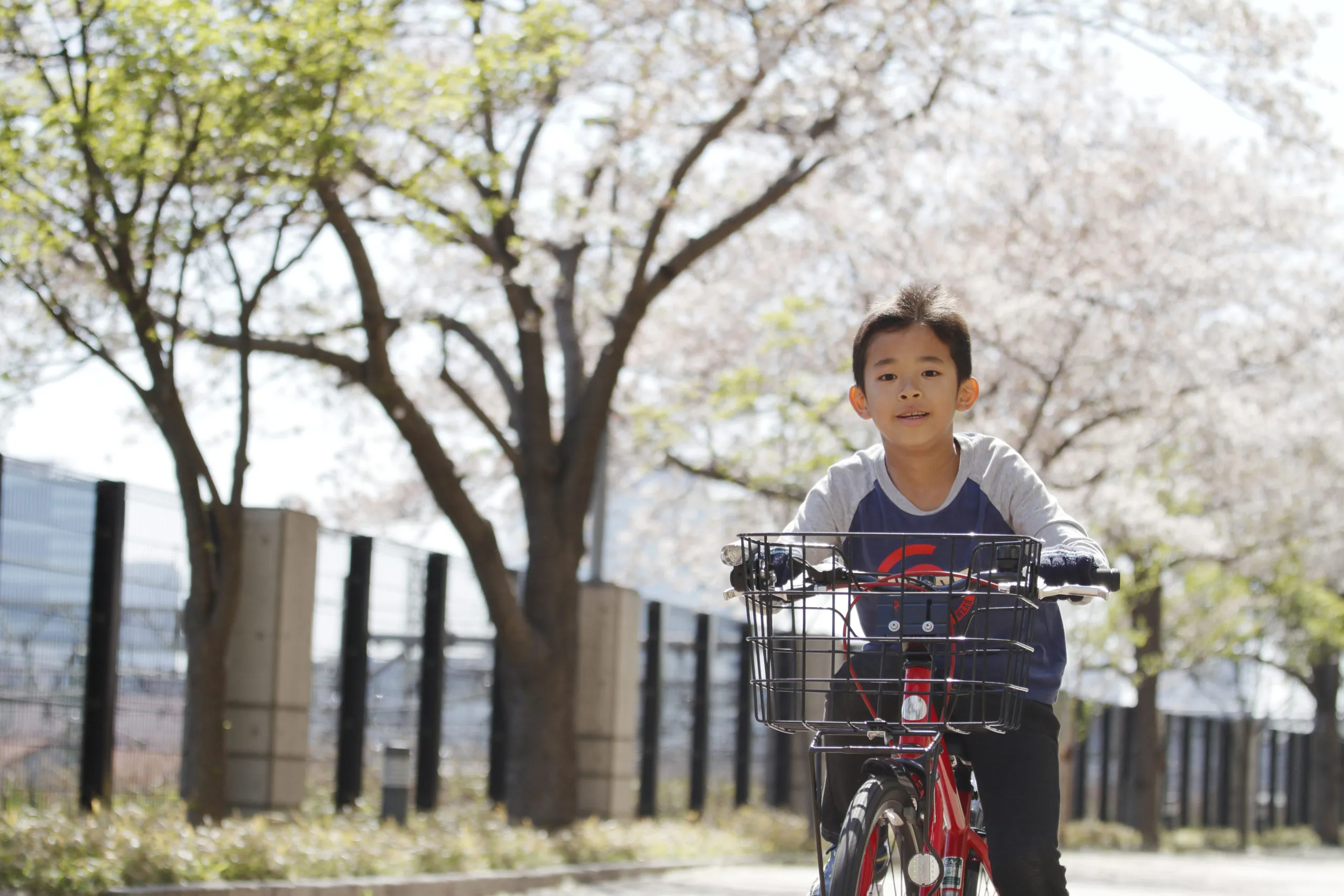 「大人も友達もかぶってない」自転車ヘルメットを拒否する子供にはどう対応したらいい？