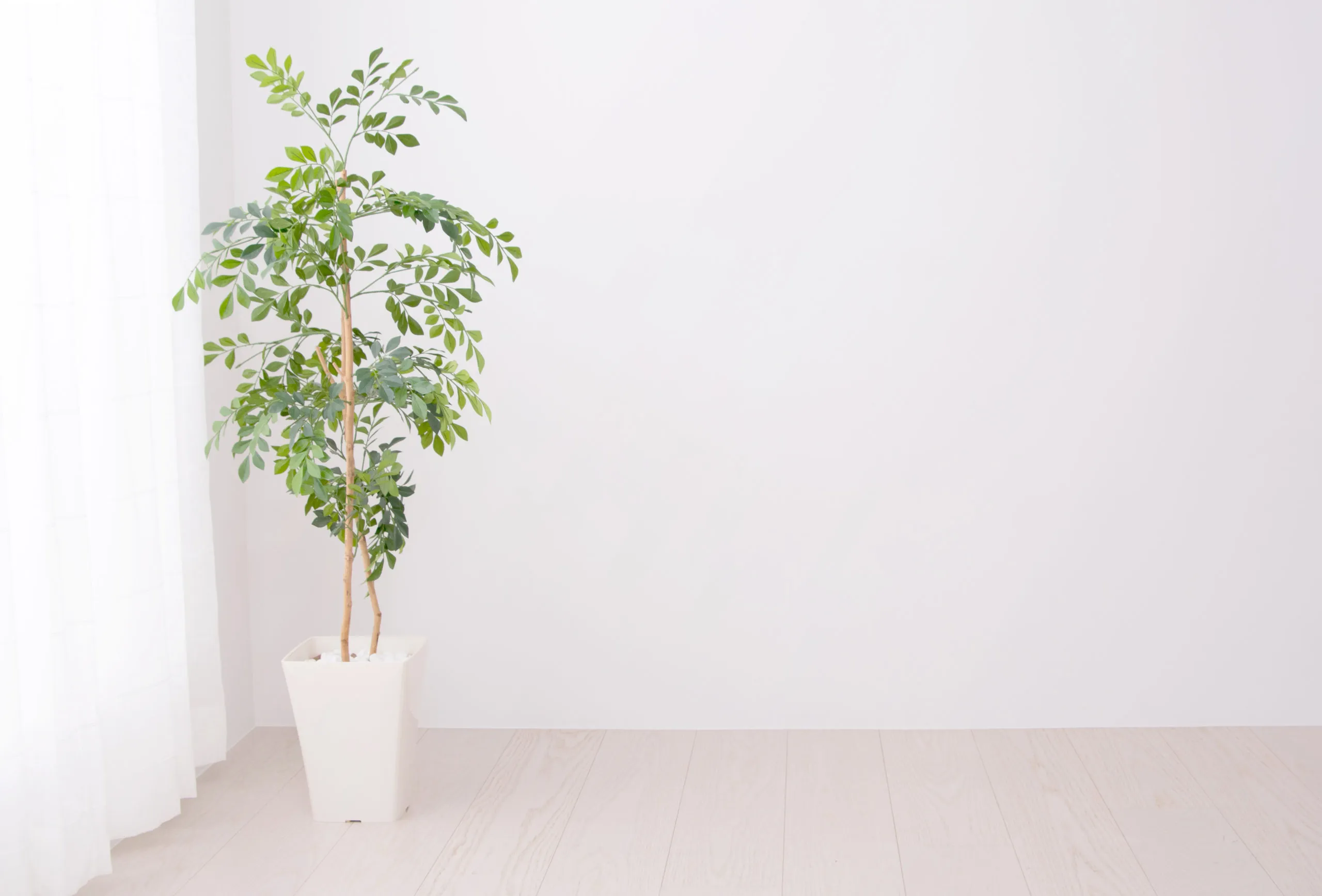 置くだけでおしゃれ！水やり不要！おすすめの観葉植物【造花・フェイクグリーン】8選