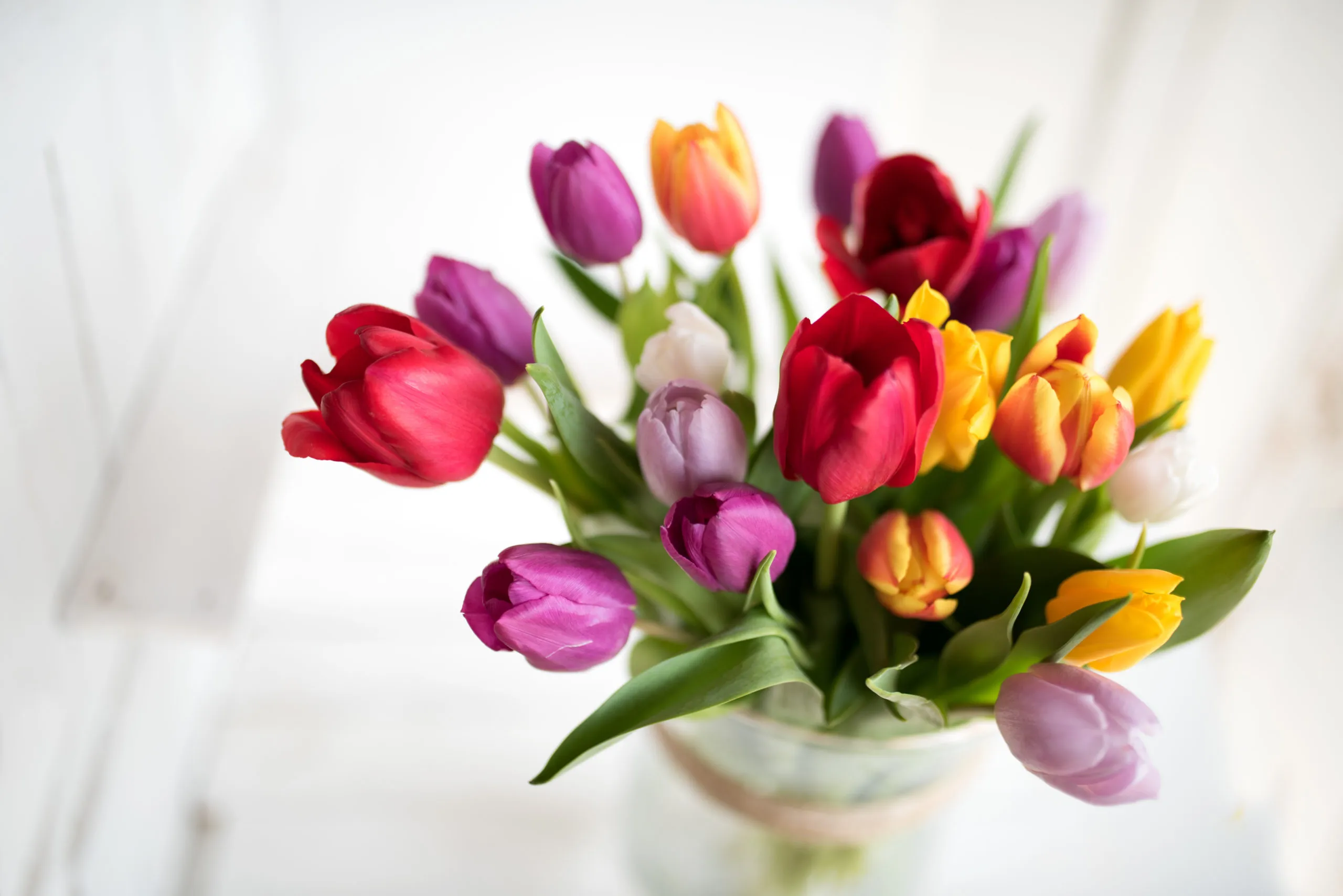 【花のある暮らし】おうち時間を彩る花のサブスクおすすめ６選！
