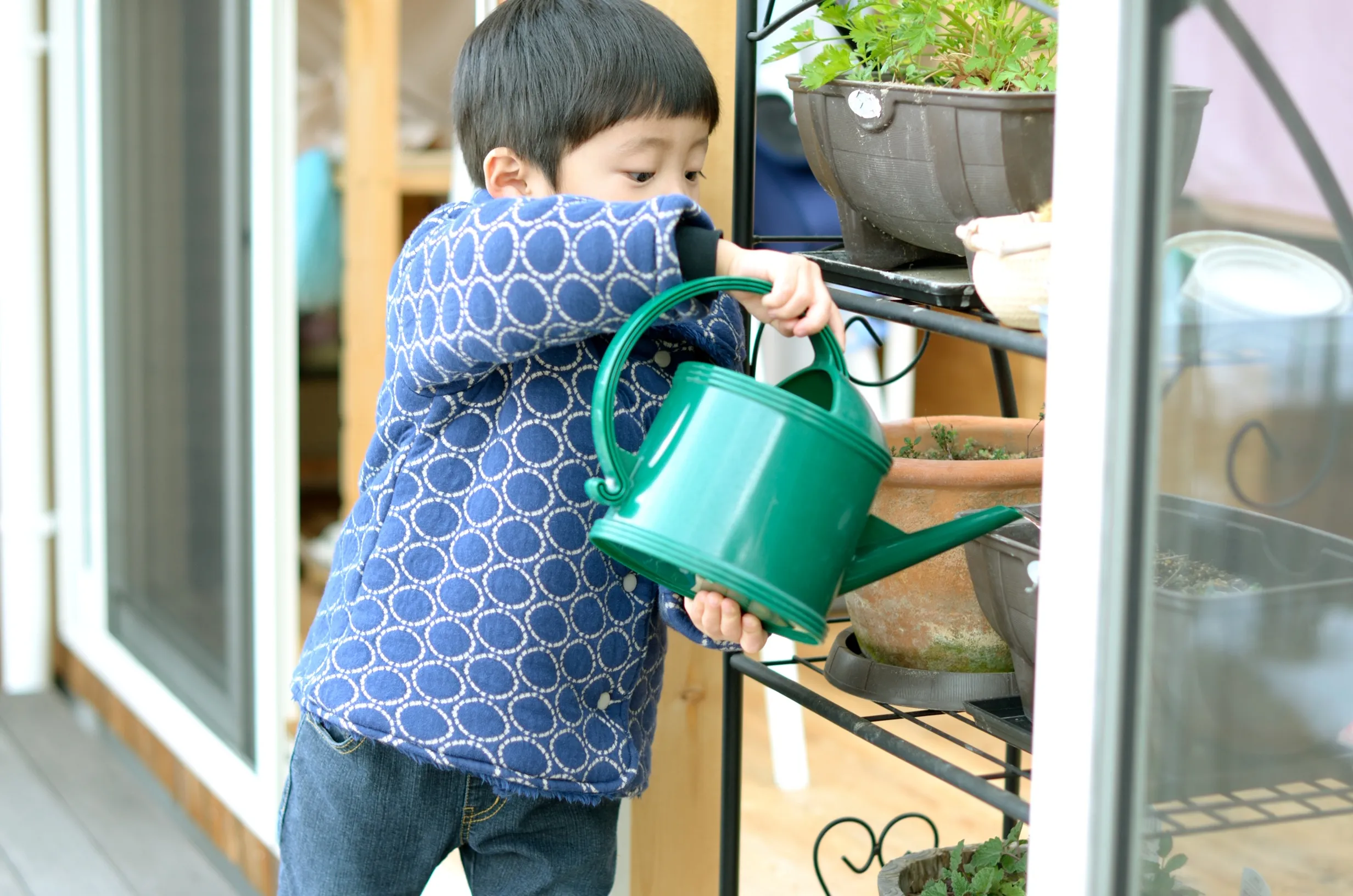 家庭菜園をしている子供