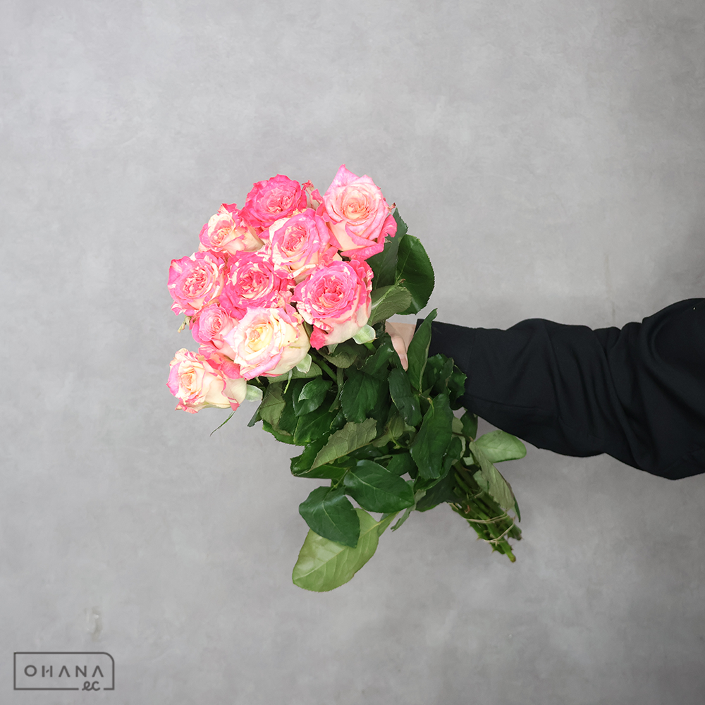 バラ複色　蓮花　50-40cm