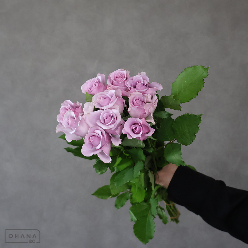 バラ紫　ナイチンゲール　45cm 