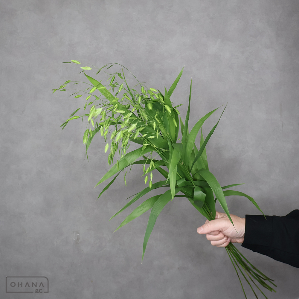 グリーンスケール　秀 70cm 