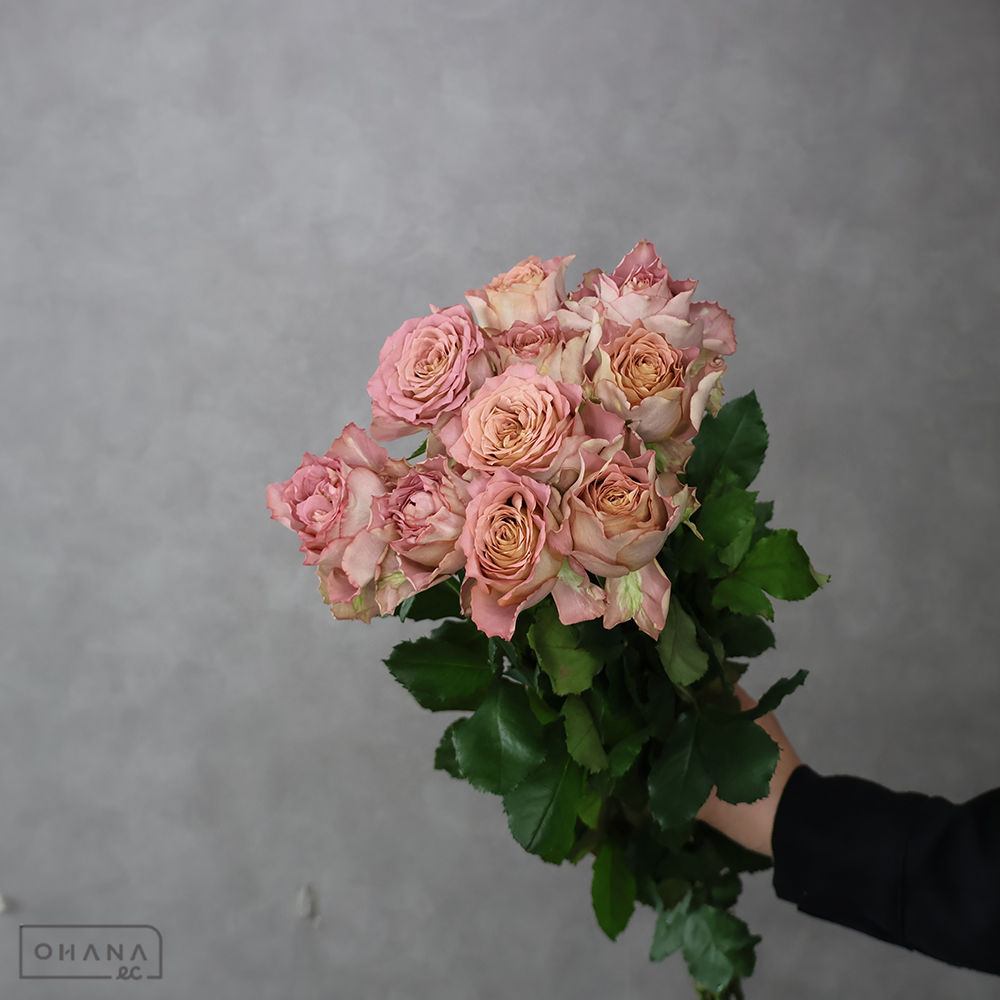 【SALE】バラ紫　テナチュール　60cm ※シミあり　※クレーム対象外