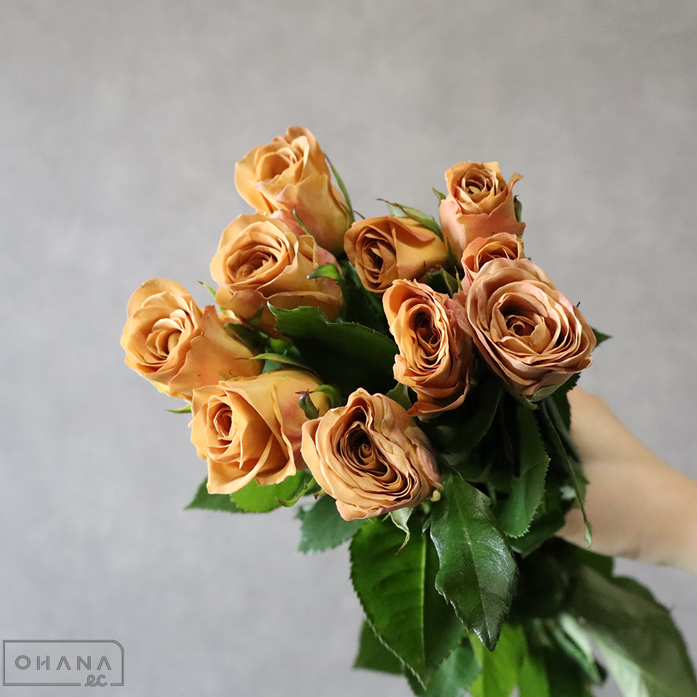 バラ茶　アートカフェ　75cm 中国産