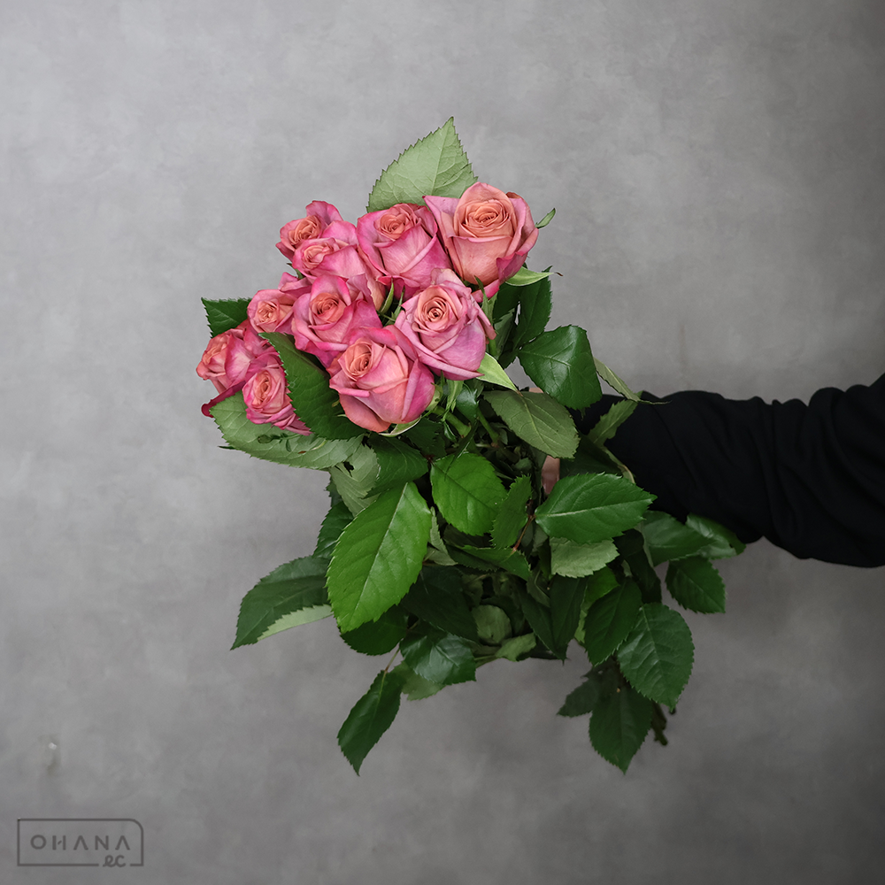 バラ紫 パフューマー 65cm ※中国産 | お花の仕入れならOHANAec