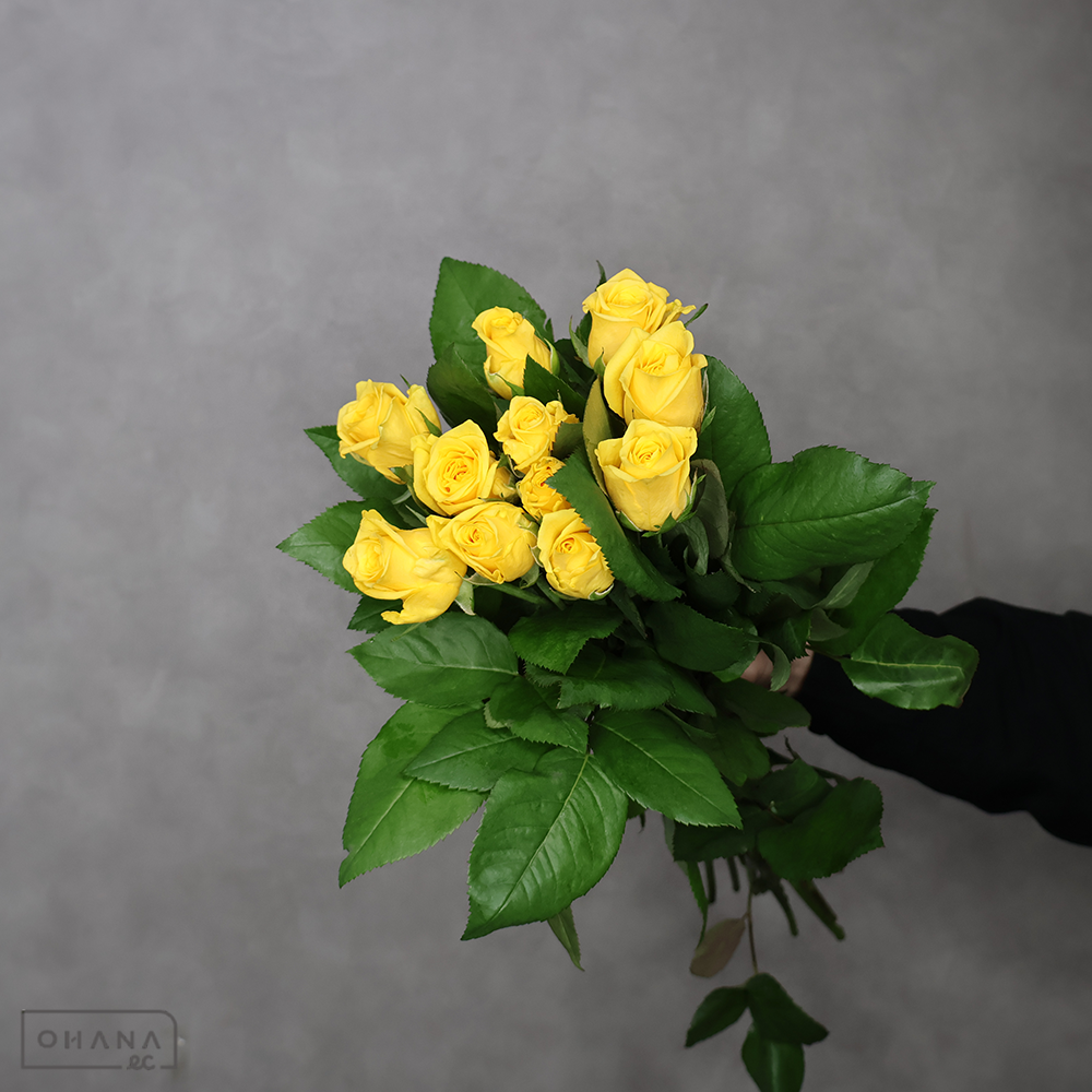 バラ　ソラーレ　 55cm