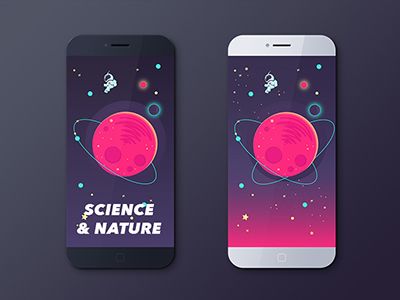 Portfolio Item Image