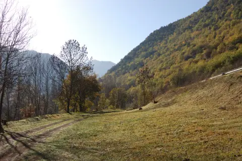 De boavi pdae
