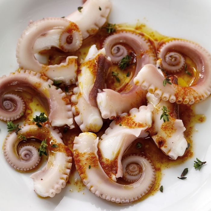 Oktopus-Tapa
