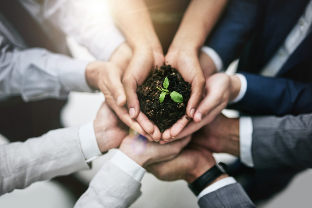 Exemplos De Responsabilidade Social Dentro Das Empresas