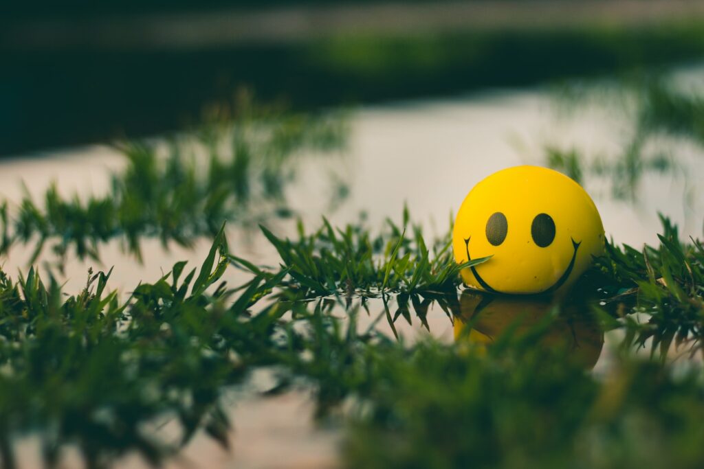 Arvore com um smile de felicidade retratando a satisfação dos colaboradores na gestão comportamental