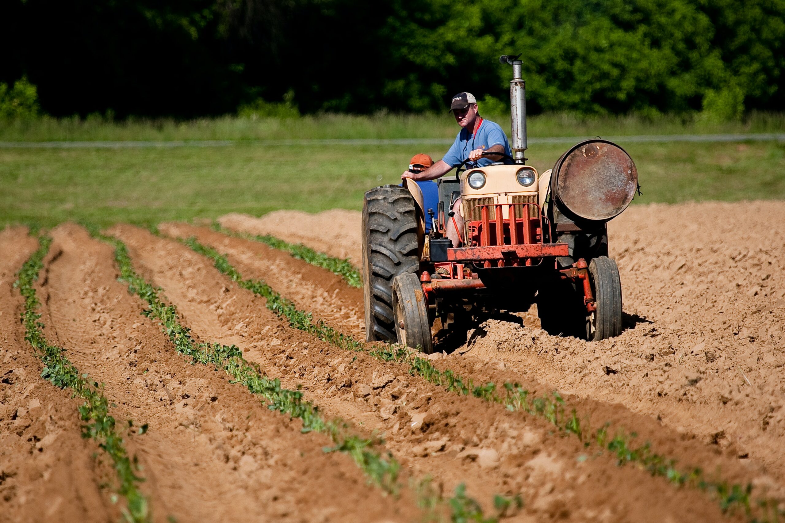 produtor rural