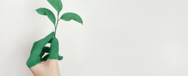 imagem com uma pessoa segurando um galho de planta com parte da mão verde demonstrando Responsabilidade ambiental