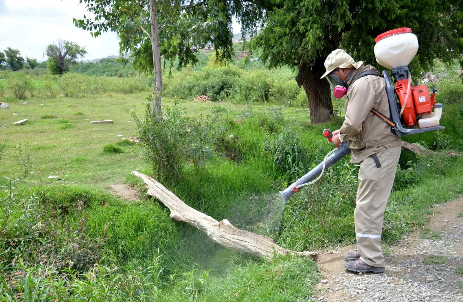ALCALDÍA EJECUTA CRONOGRAMA DE DESTRUCCIÓN DE CRIADEROS DE MOSQUITOS
