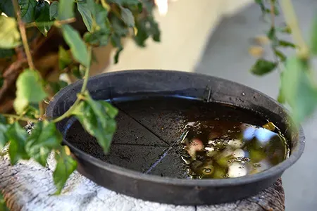 ELIMINAN CRIADEROS DE DENGUE EN LA ZONA TEMPORAL DE COCHABAMBA