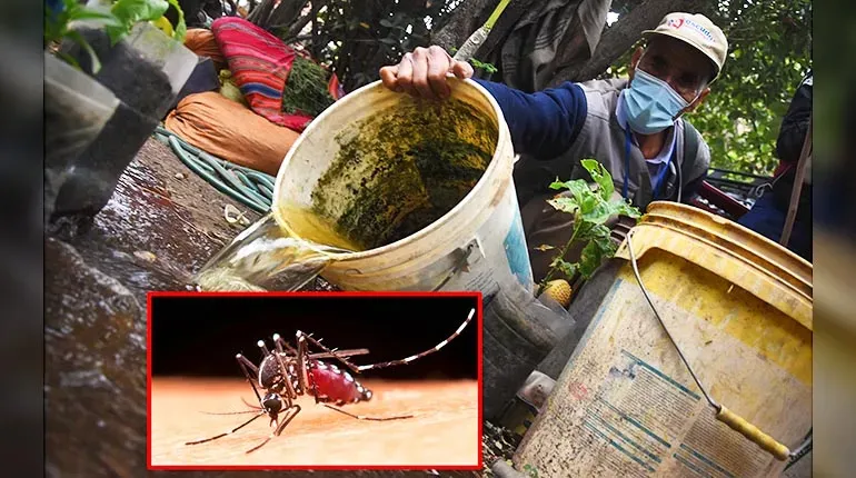 EL SEDES SE MOVILIZA CONTRA EL DENGUE