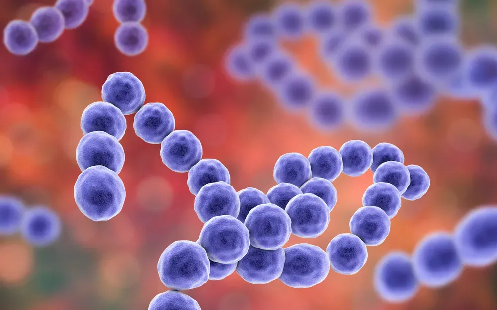 CINCO UNIDADES EDUCATIVAS PASAN CLASES VIRTUALES POR EL STREPTOCOCCUS