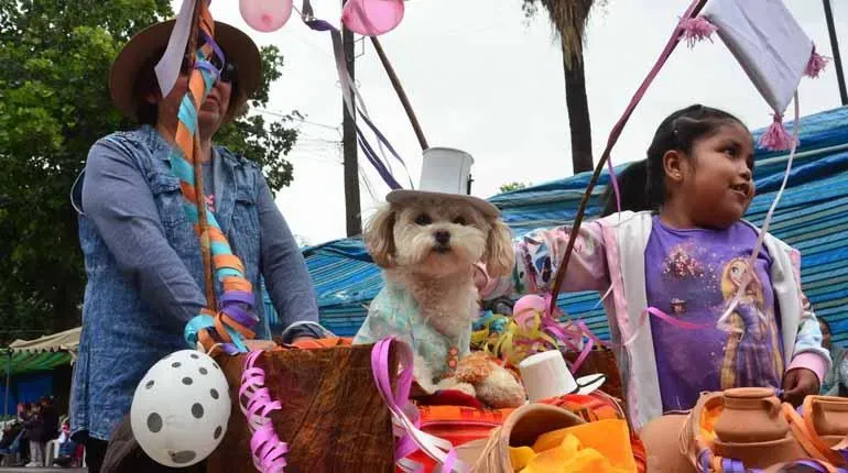 CORSO DE MASCOTAS PROMUEVE LA TENENCIA RESPONSABLE Y LA ADOPCIÓN