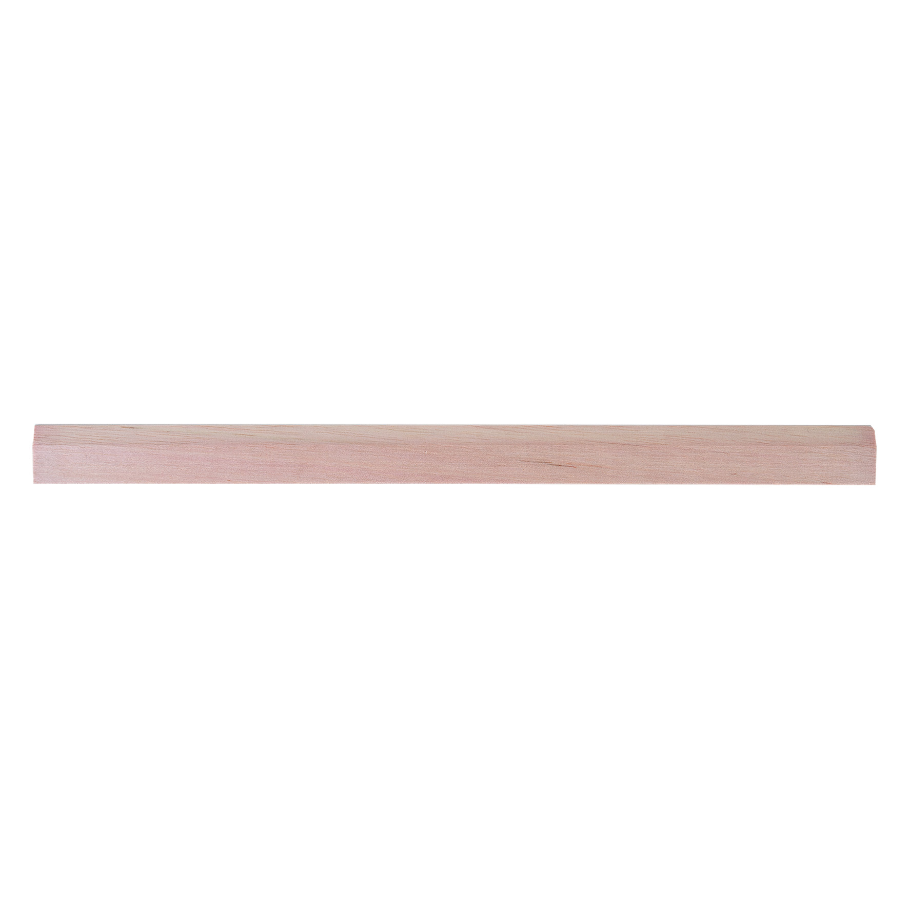 REGLE ECO 30 cm