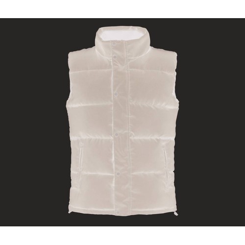 NORTHDALE INSULATED BODYWARMER
