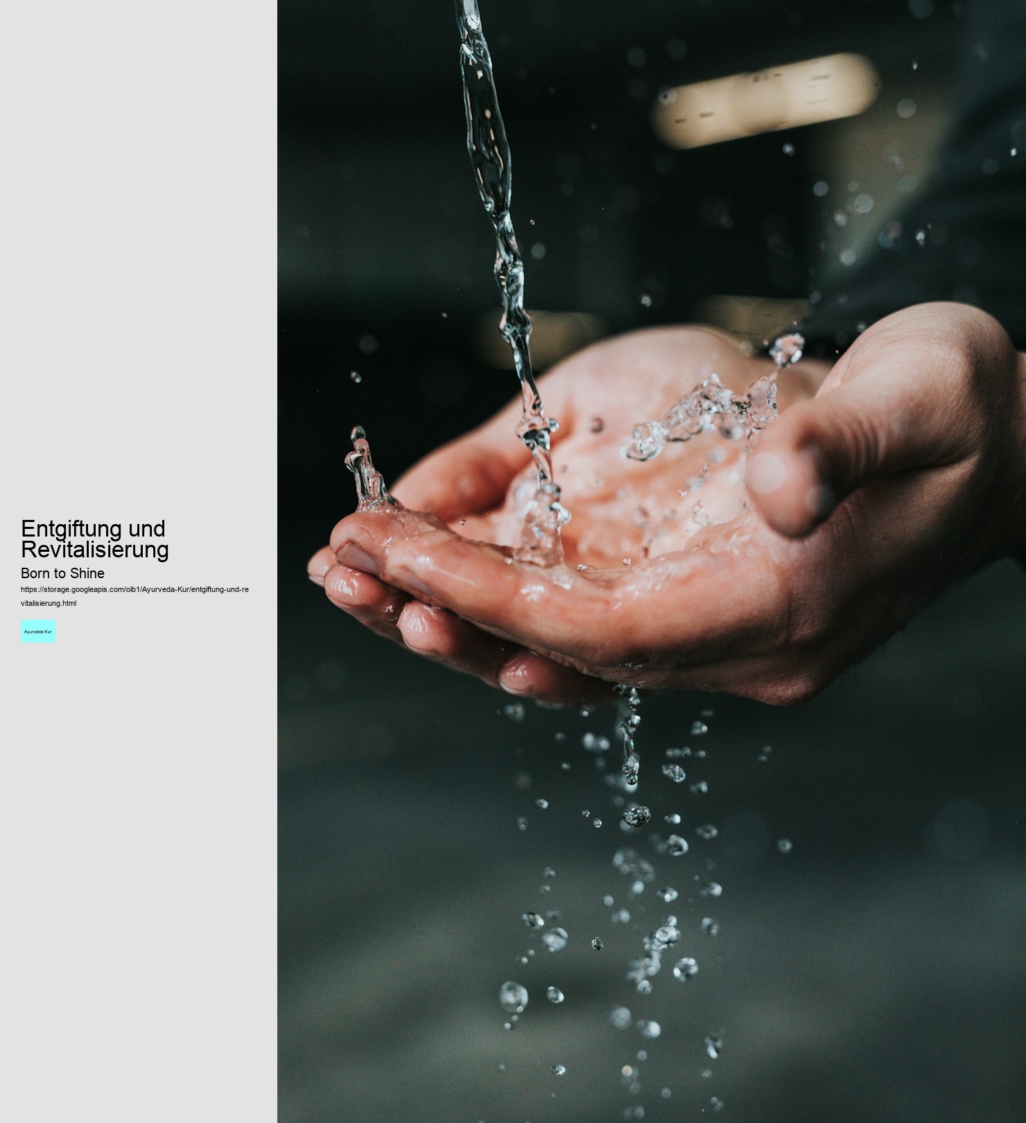 Entgiftung und Revitalisierung