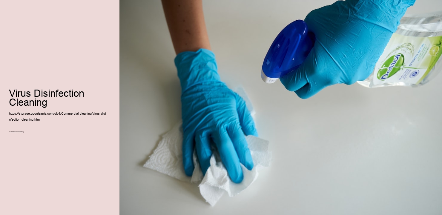 Virus Disinfection Cleaning