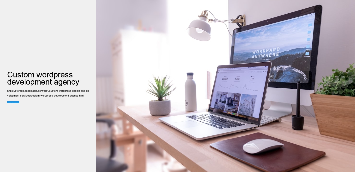 custom wordpress development agency